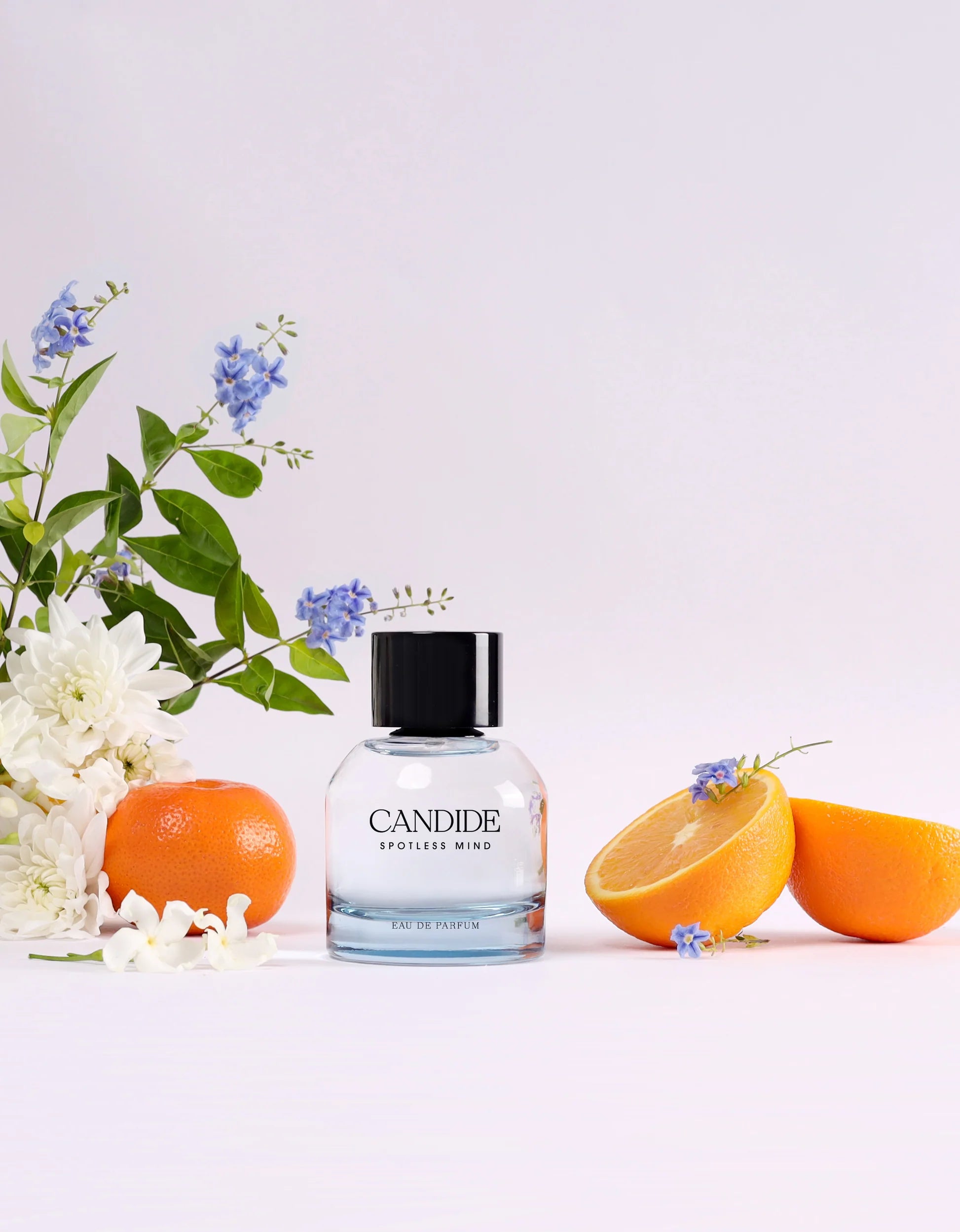 Candide spotless mind