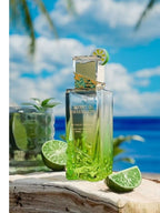 Mojito Obsession (Gulf Orchid)