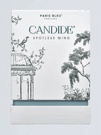 Candide spotless mind